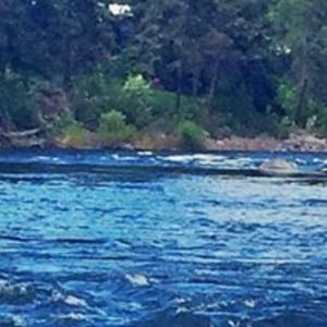 Meet your Posher, Teresa